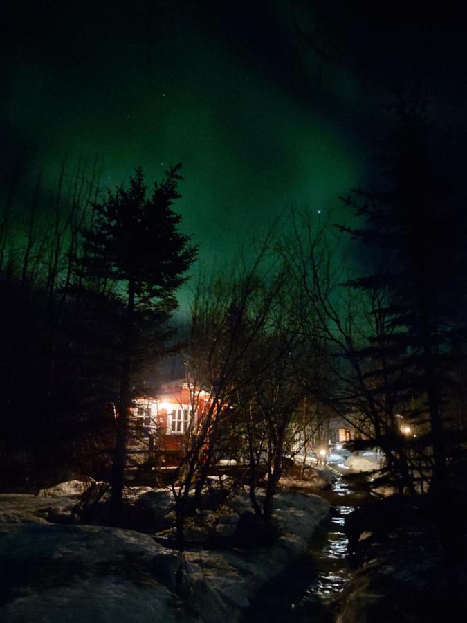 Bakkakot 2 - Cozy Cabins In The Woods อาคูเรย์รี ภายนอก รูปภาพ